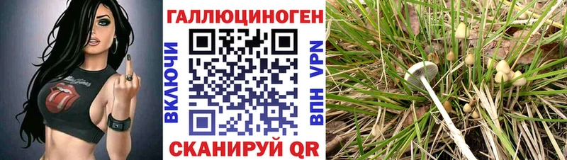 Псилоцибиновые грибы Cubensis  Кондопога 